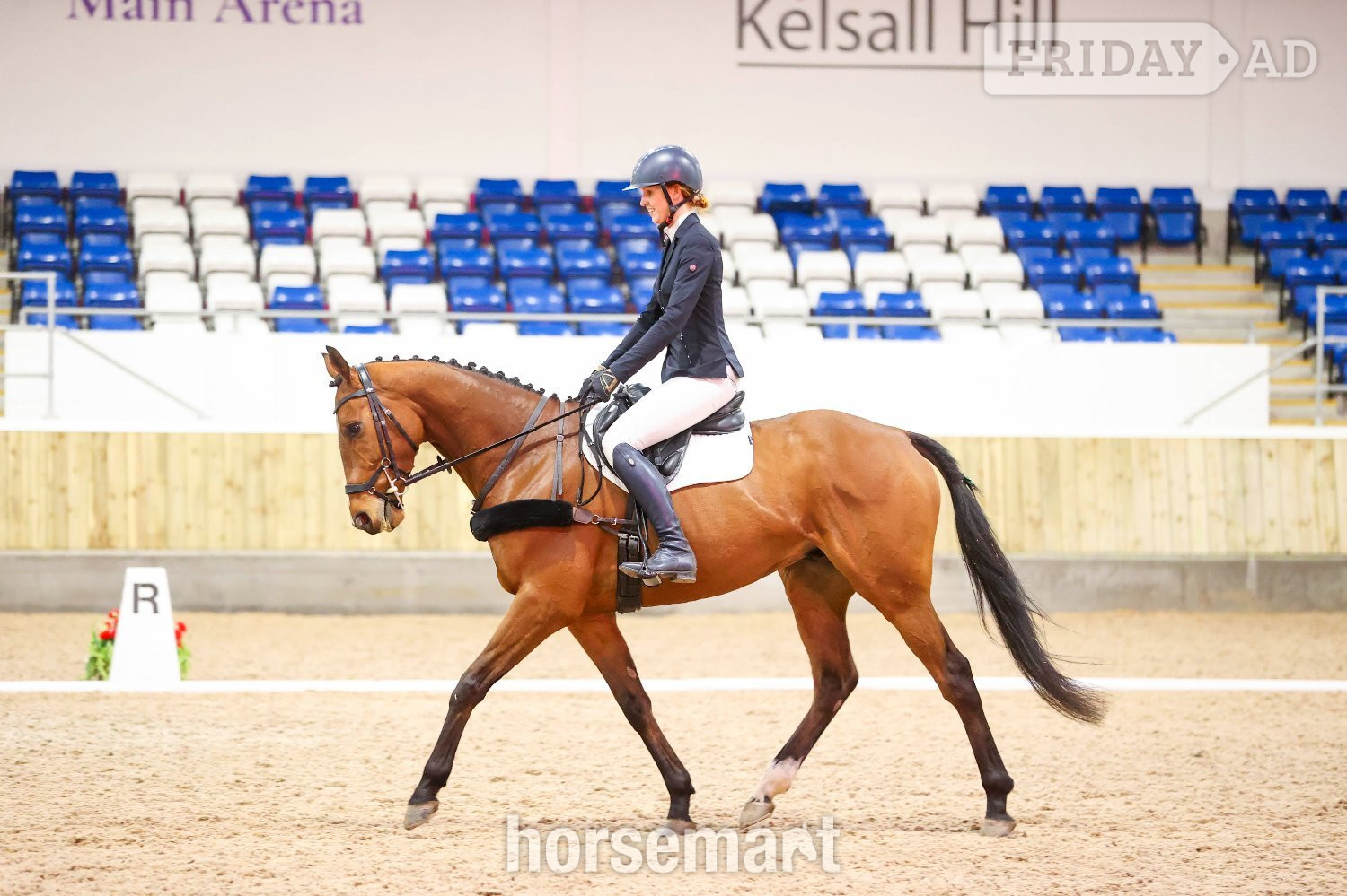 "Goose" Bay Gelding Eventer in Culcheth