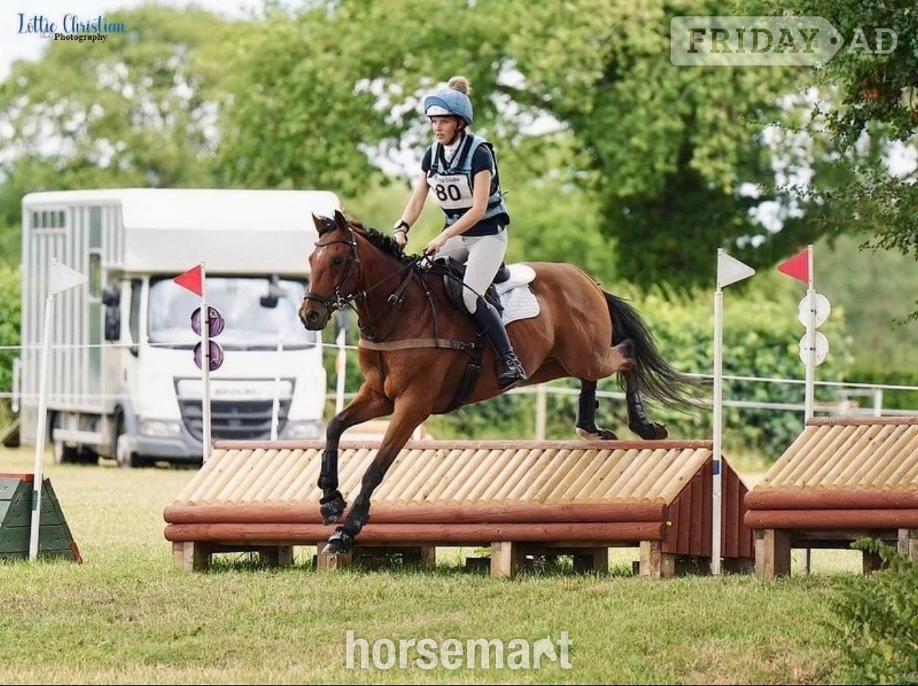 Culcheth "Goose" Bay Gelding Eventer