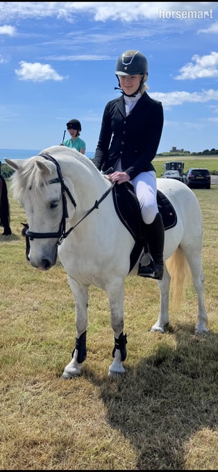 "Rathglass Grey Dawn " Grey Mare Pony Club Pony