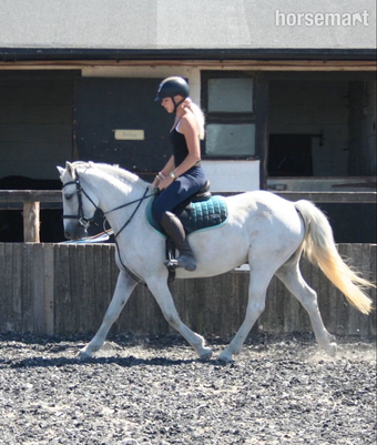 "Rathglass Grey Dawn " Grey Mare Pony Club Pony