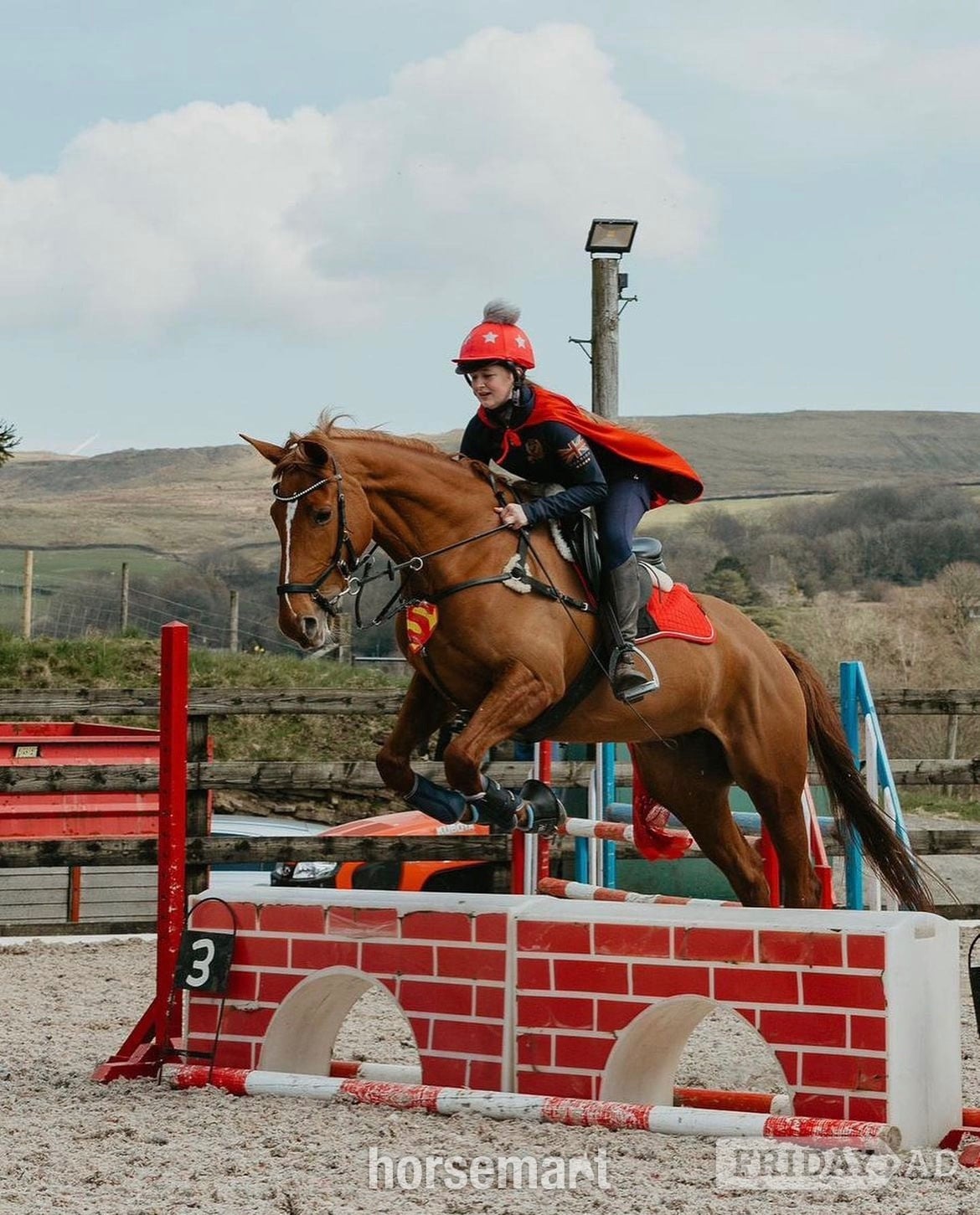 Whitworth "Bollinger " Chestnut Mare All Rounder