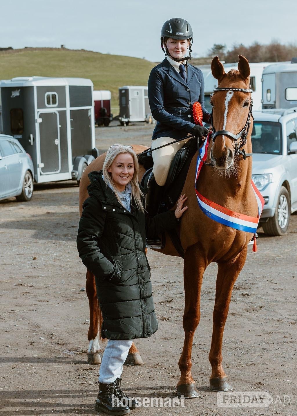 "Bollinger " Chestnut Mare All Rounder