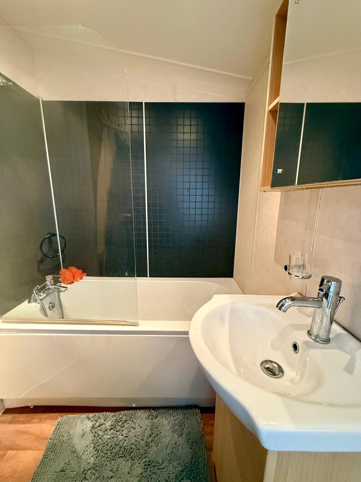 Swift Moselle 2012 for sale - Holiday Homes in Dyserth