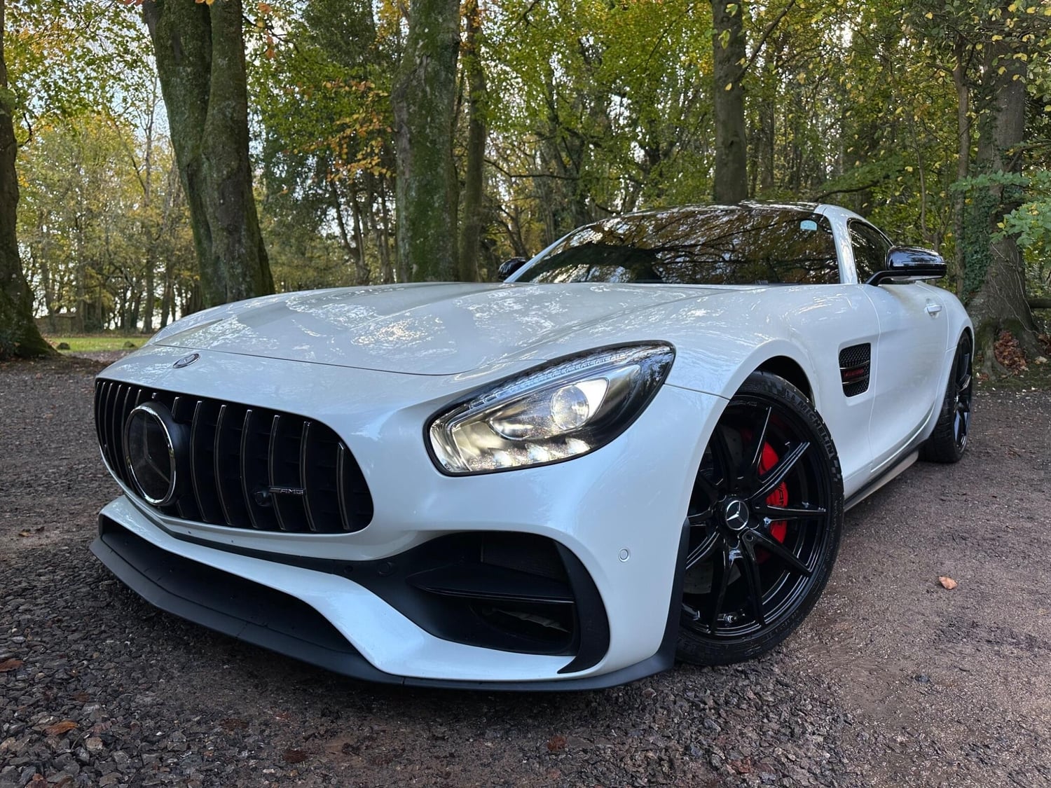 [ berth ]Mercedes-Benz AMG GT
