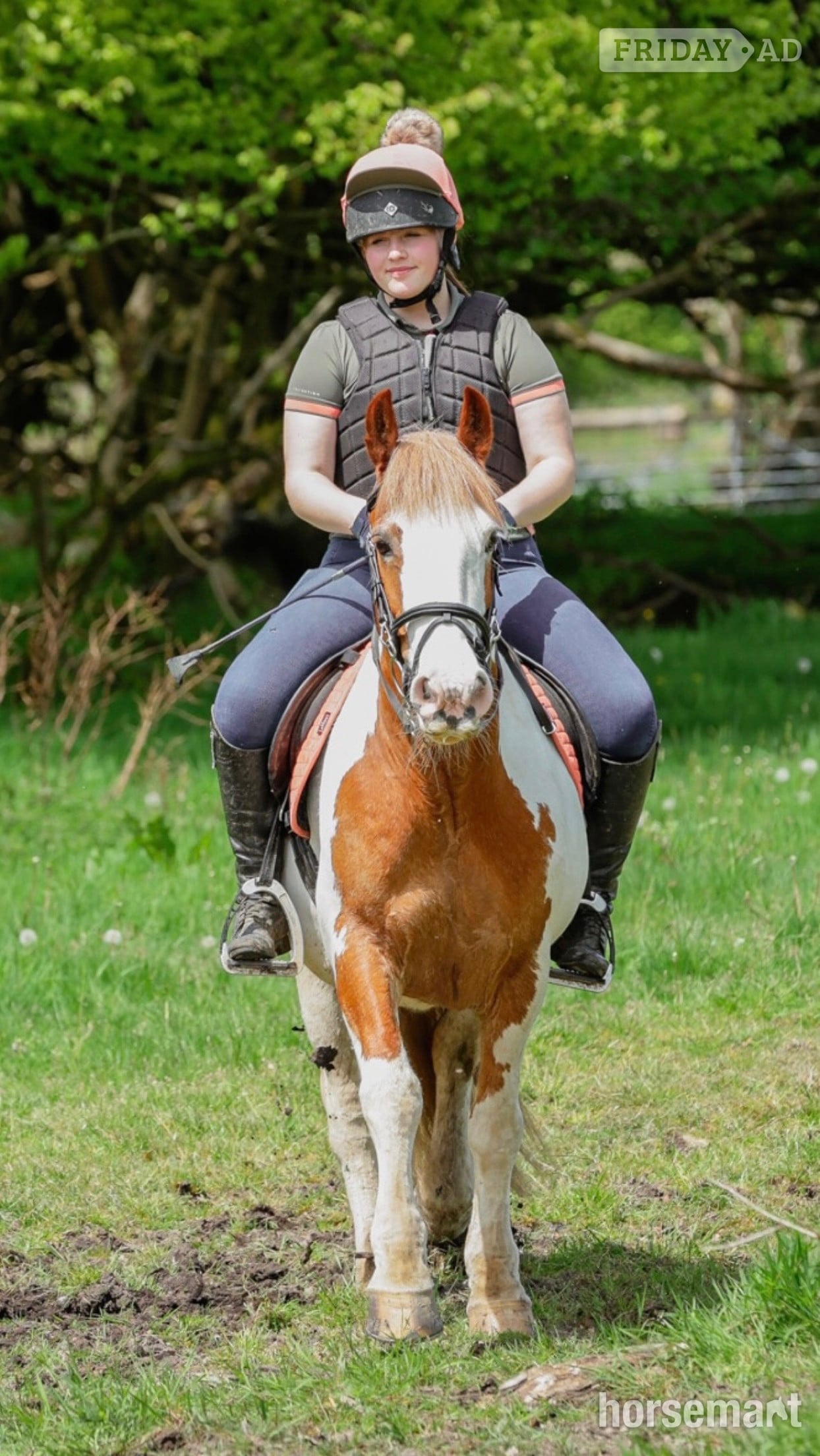 "Rosie " Skewbald Mare All Rounder