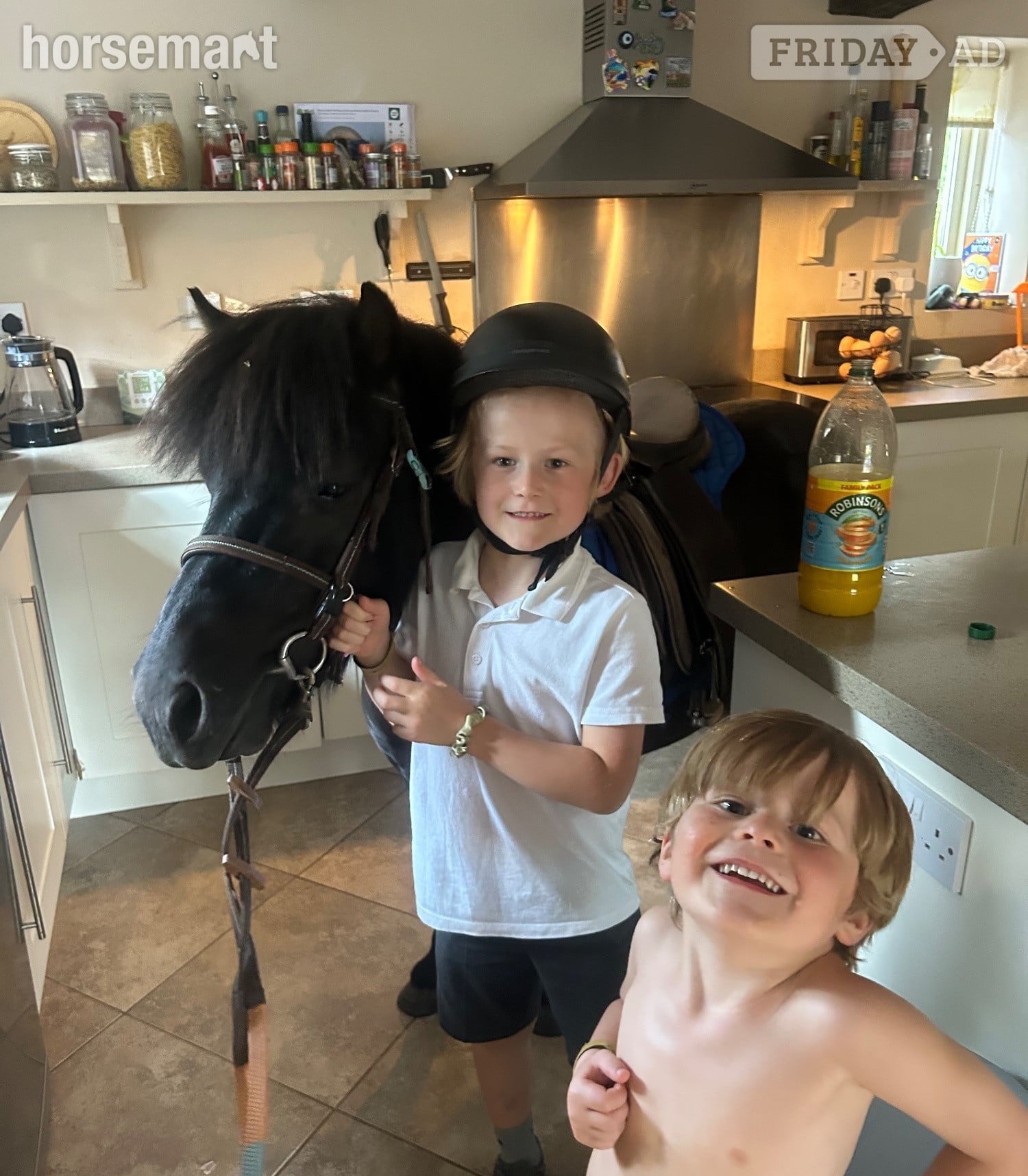 Knutsford "Jack" Black Gelding Lead Rein/First Ridden Pony