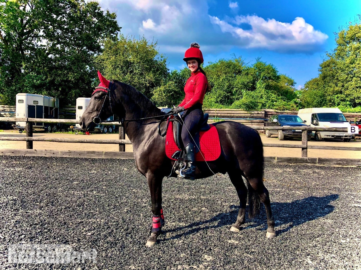 15hh Andalusian x Welsh B for loan/share - Horses in Pulborough