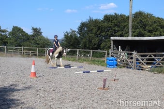 "Moo" Piebald Mare Lead Rein/First Ridden Pony