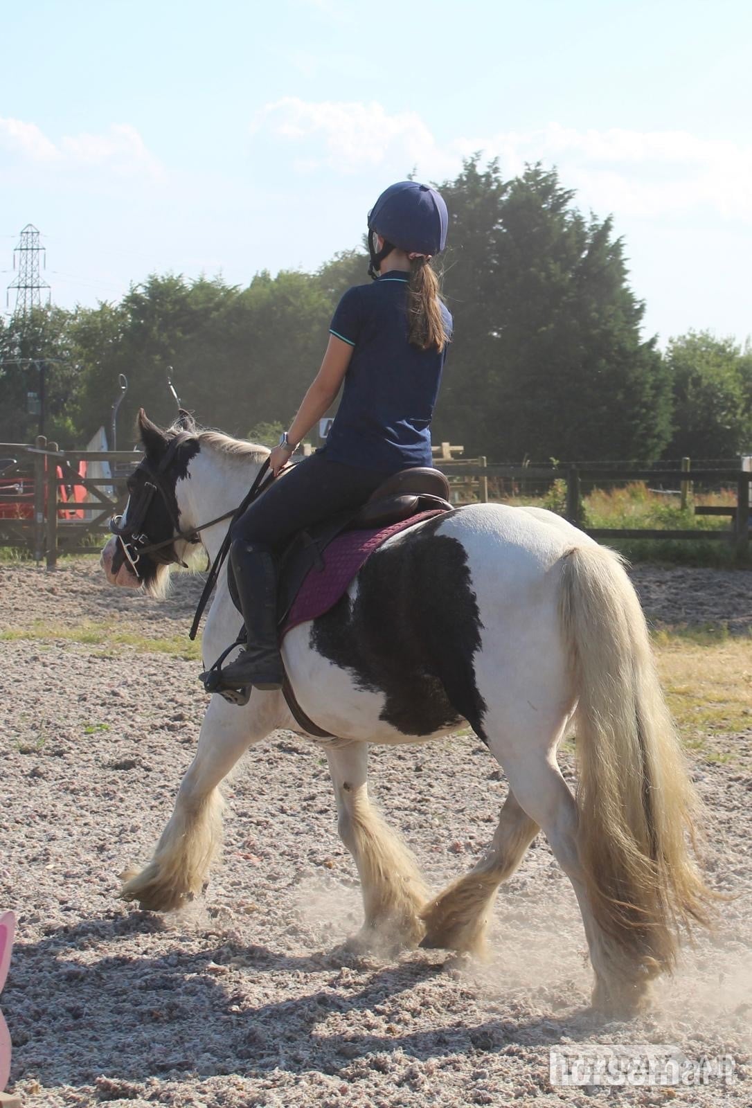 Caerphilly "Moo" Piebald Mare Lead Rein/First Ridden Pony