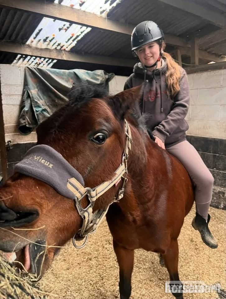 Leeds "Dolly " Bay Mare All Rounder
