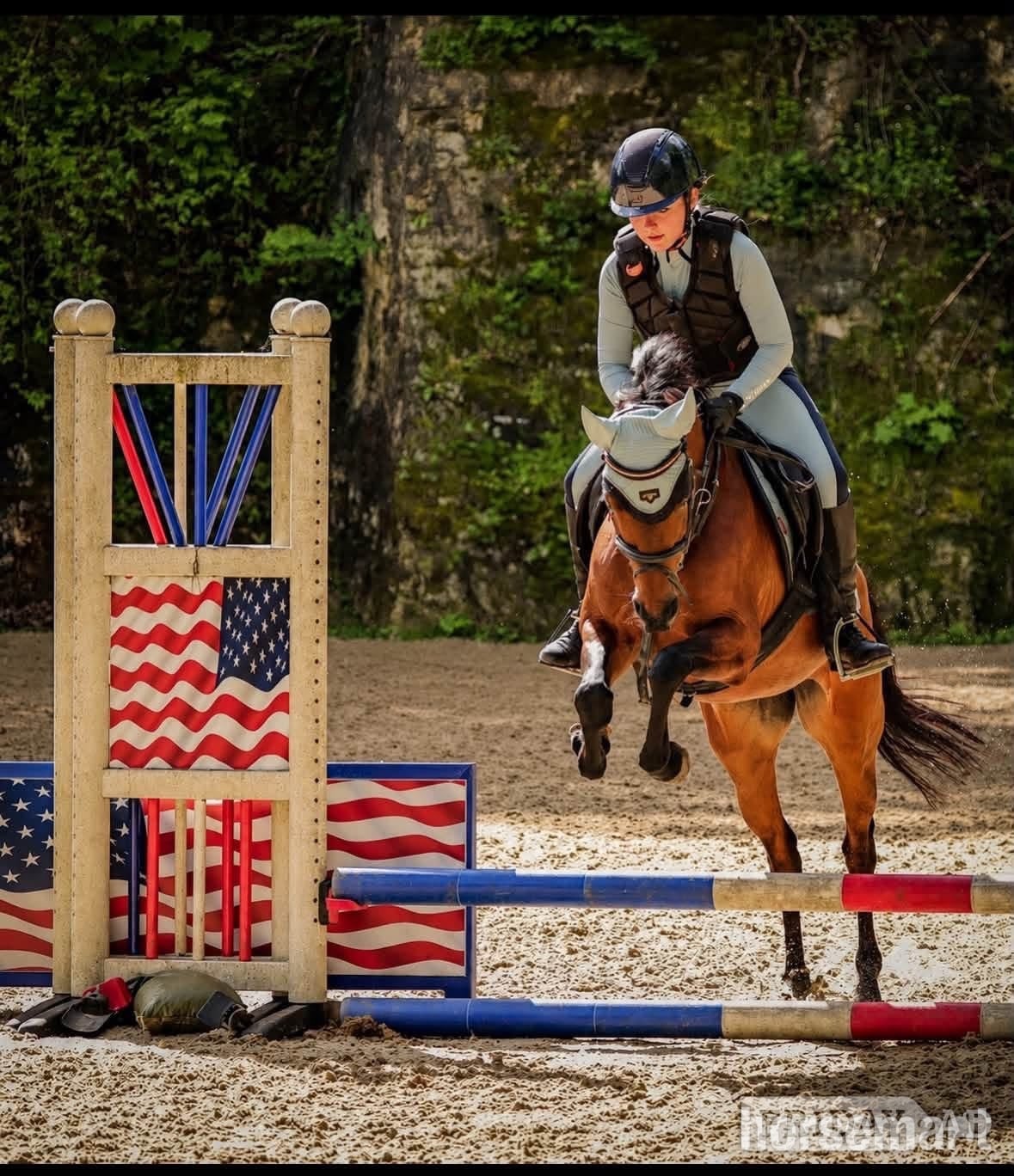 "Dolly " Bay Mare All Rounder - Horses in Leeds