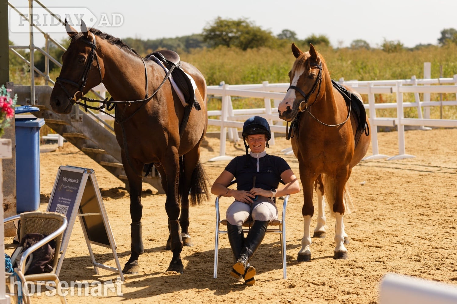 "Annod Purdy Queen" Chestnut Mare Pony Club Pony - Horses in Rugby