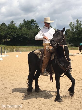"Talyllyn Celt" Black Gelding Cob/Heavy Horse