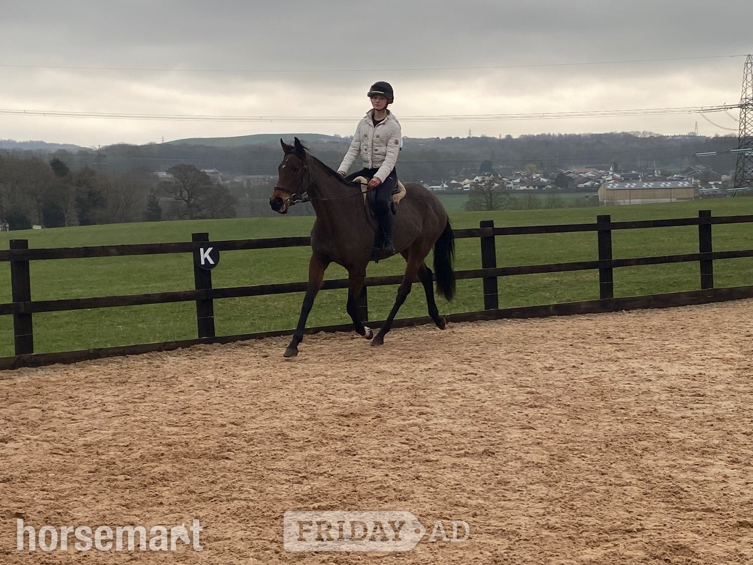 Blackburn "Ava" Bay Mare All Rounder