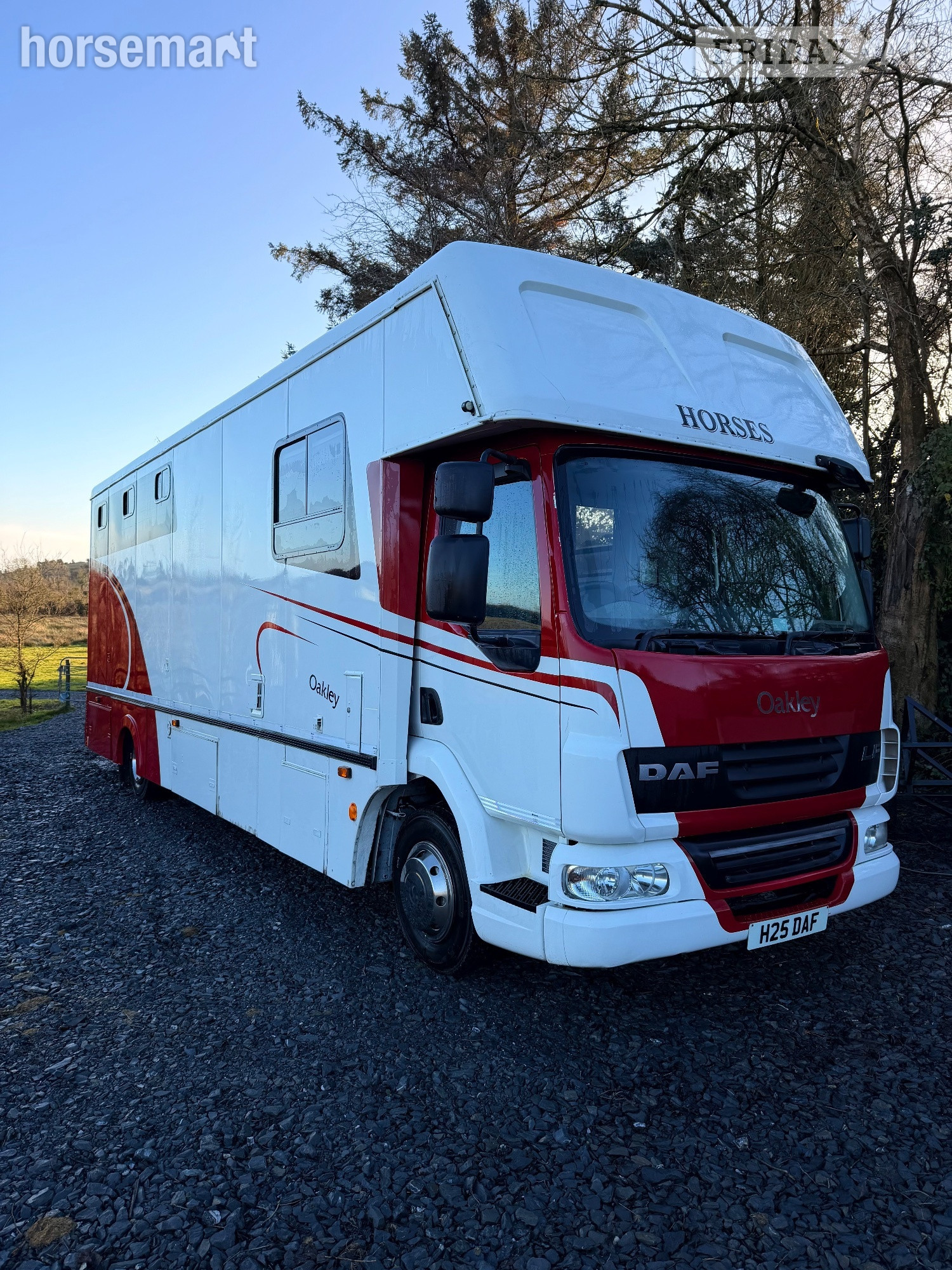 Oakley Supreme Daf Trucks Horsebox in Belfast