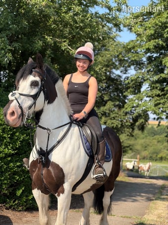 "Kizzy" Piebald Mare All Rounder