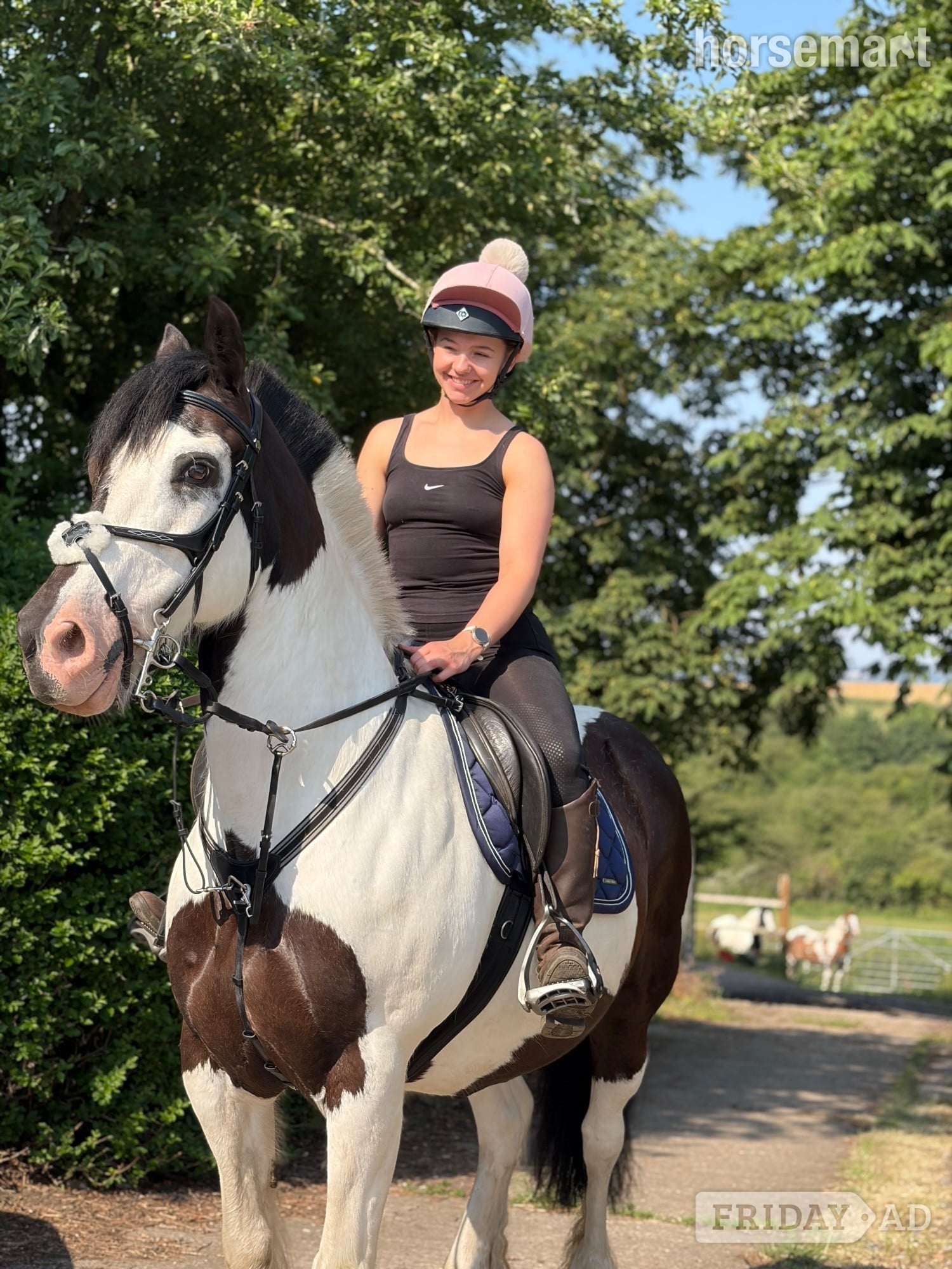 "Kizzy" Piebald Mare All Rounder in Sheffield