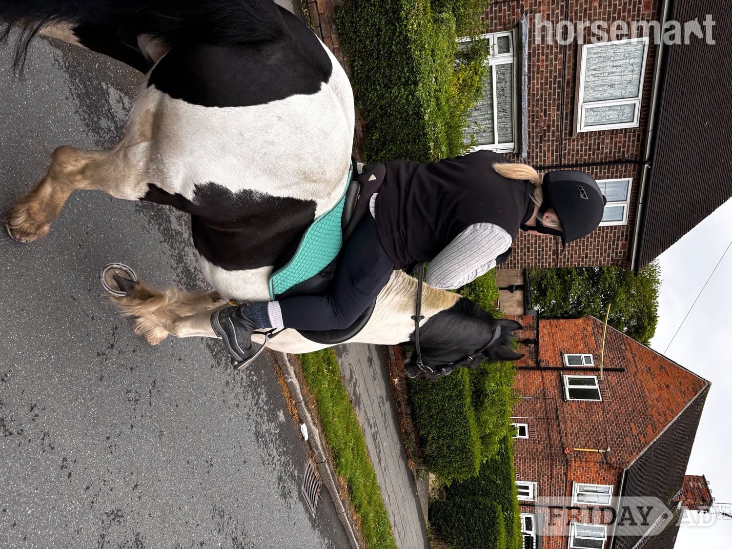 Sheffield "Kizzy" Piebald Mare All Rounder