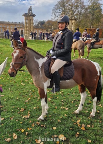 "Belle"  Mare Happy Hacker