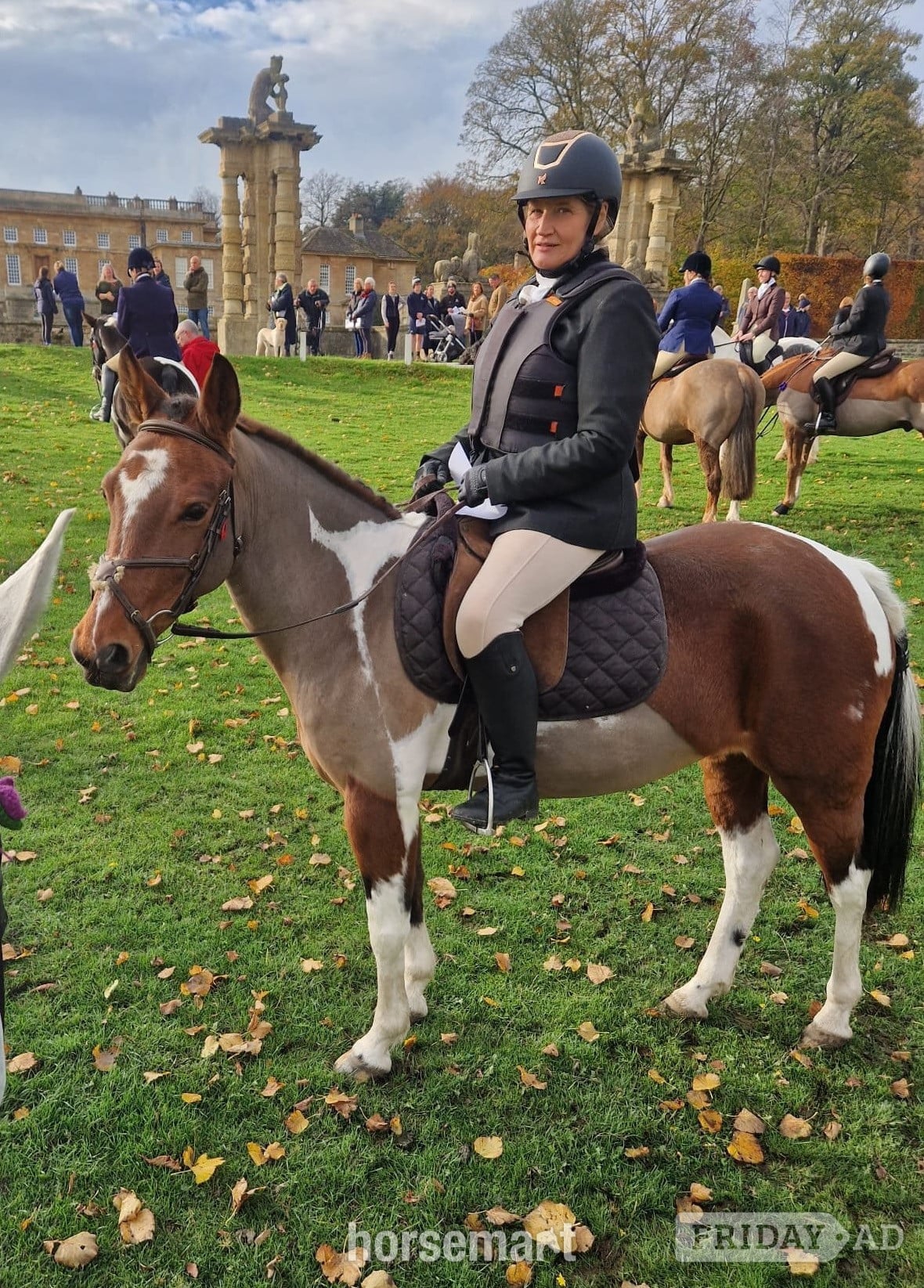 "Belle"  Mare Happy Hacker in Hull