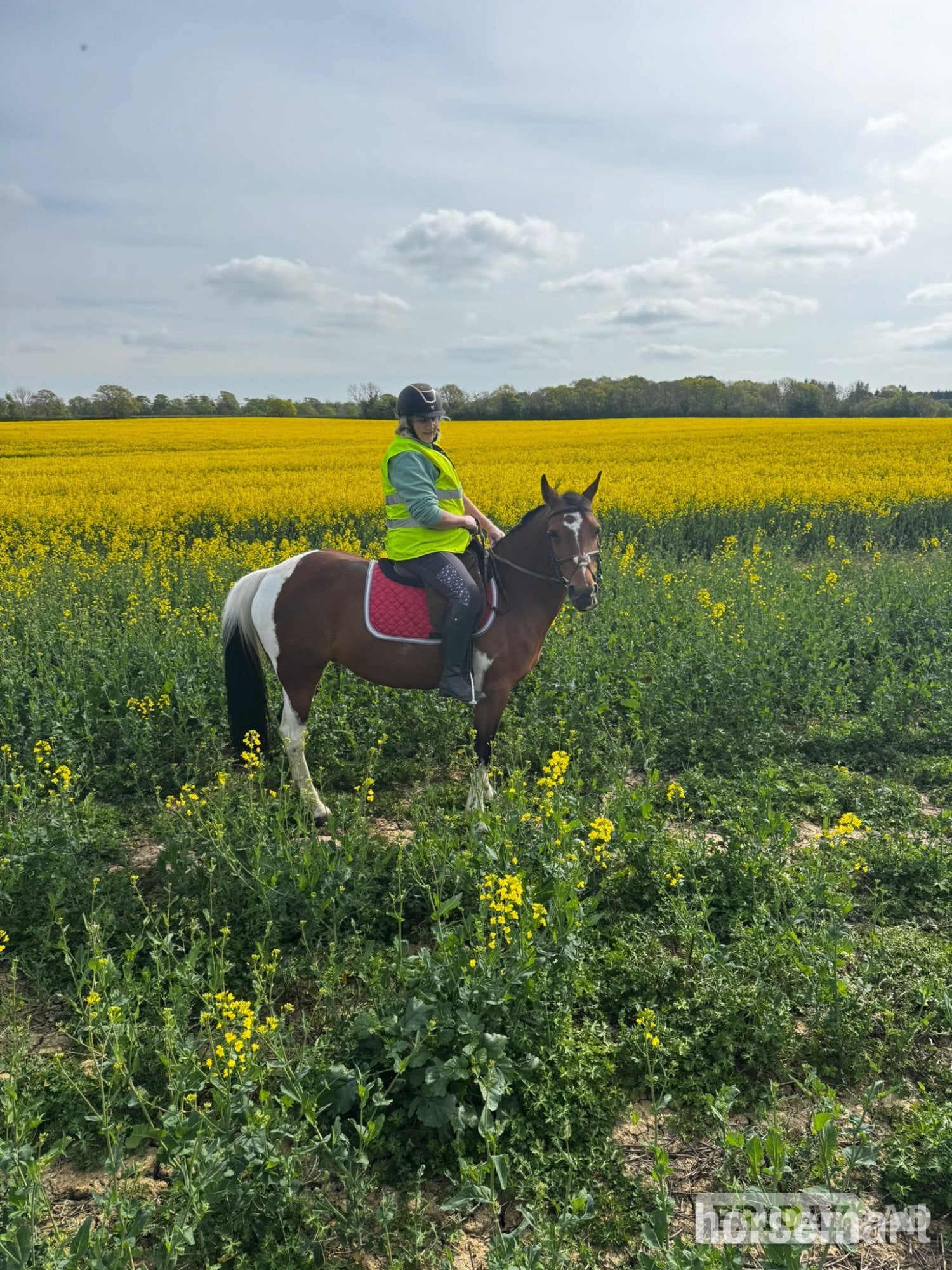 "Belle"  Mare Happy Hacker