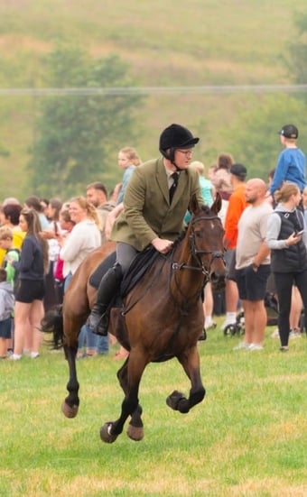 "Glen" Bay Gelding All Rounder