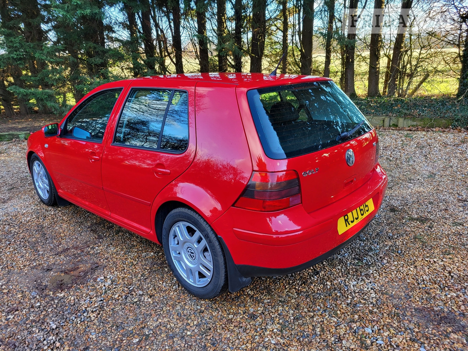 Volkswagen Golf Horley