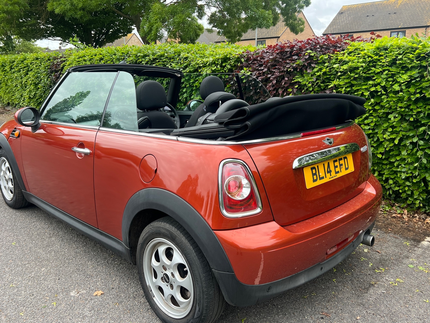 [ berth ]Mini Convertible