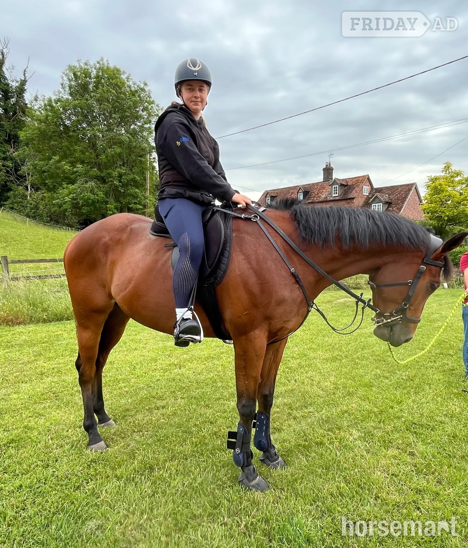 "Dakota" Bay Gelding All Rounder