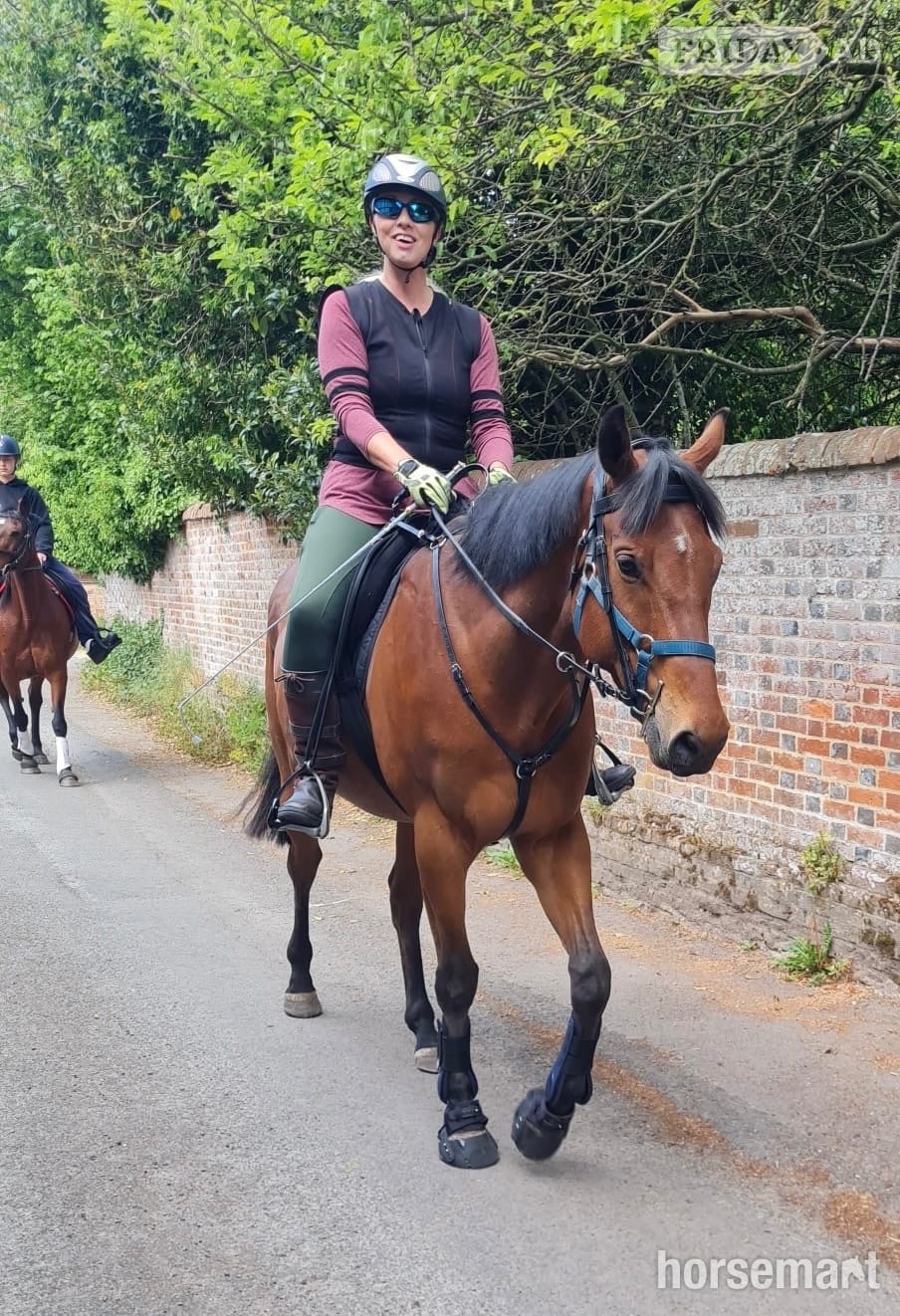 "Dakota" Bay Gelding All Rounder - Horses in Wantage