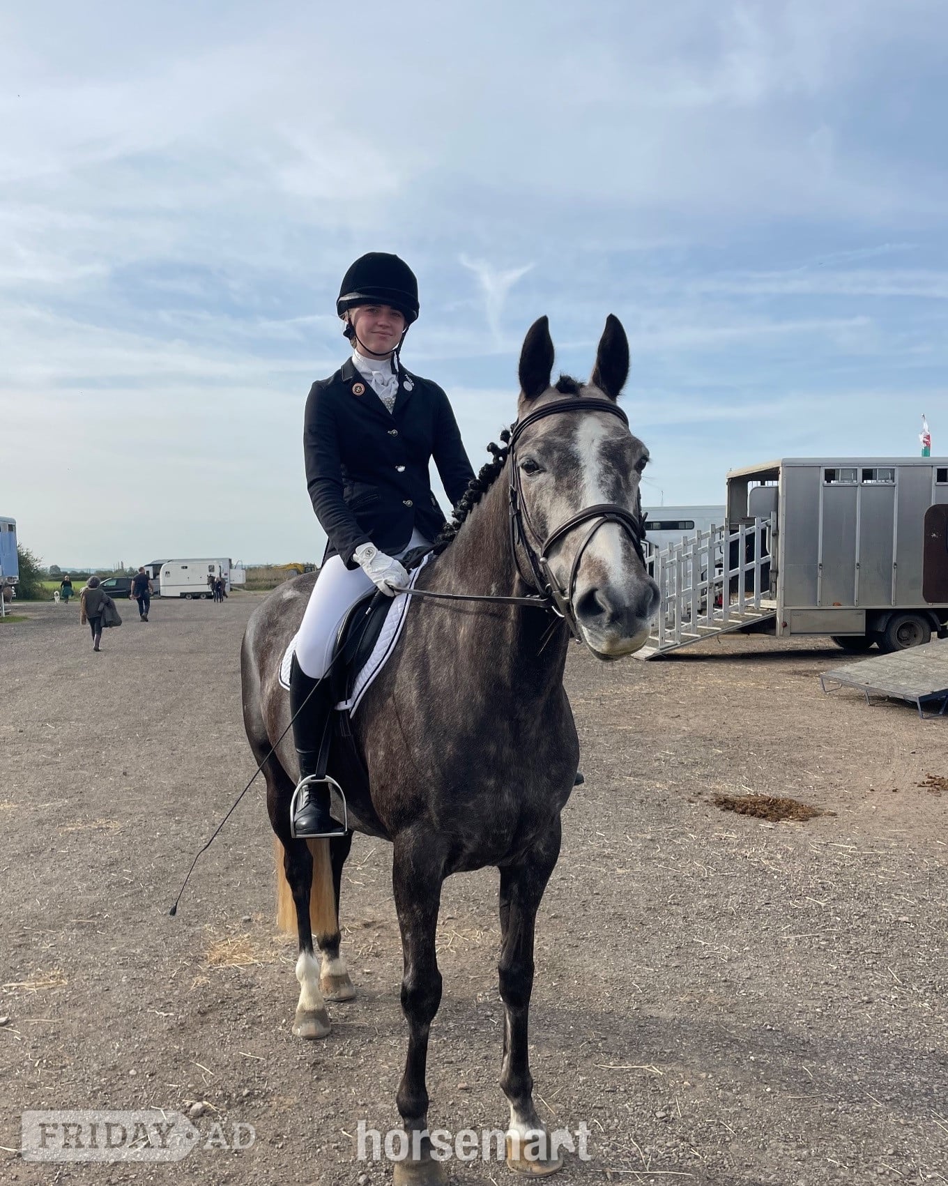 "Callie" Grey Mare All Rounder in Buckingham