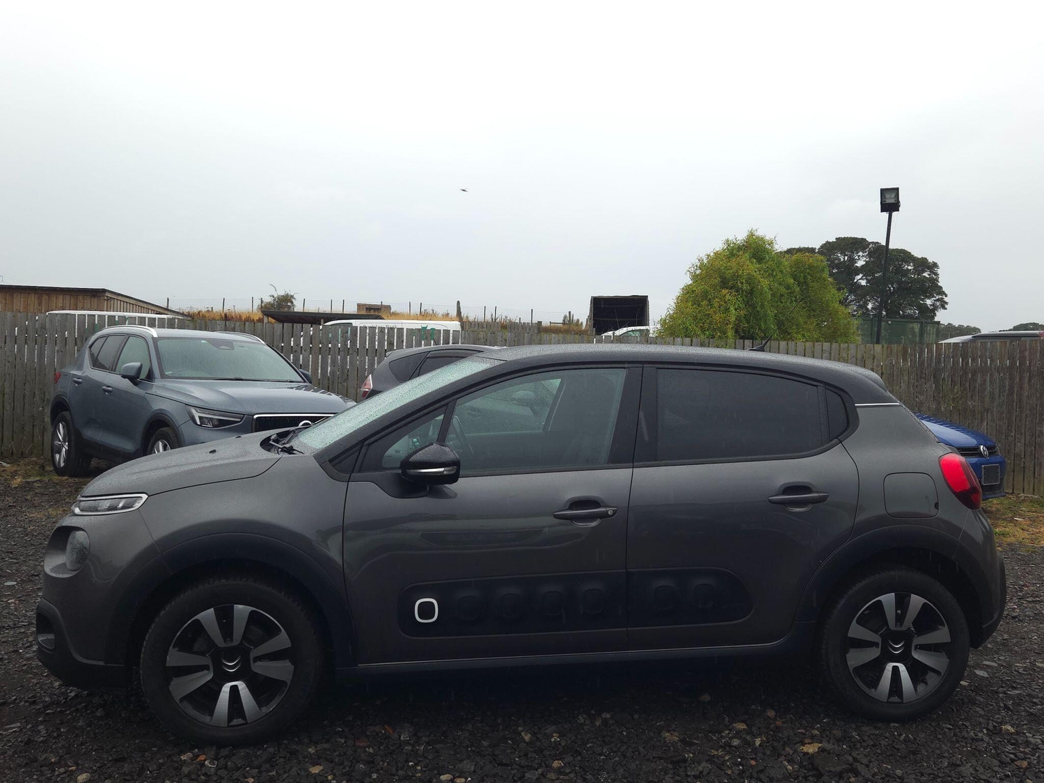 Citroen C3 2019 - Cars