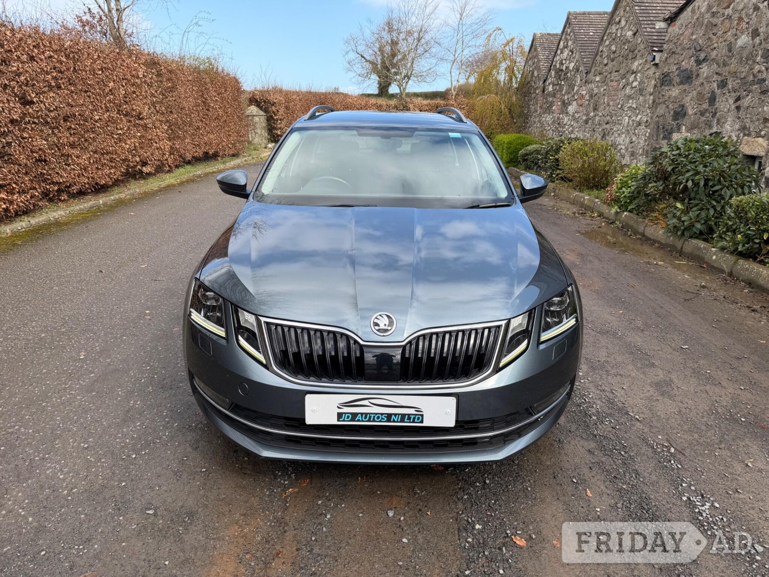 Skoda Octavia Craigavon