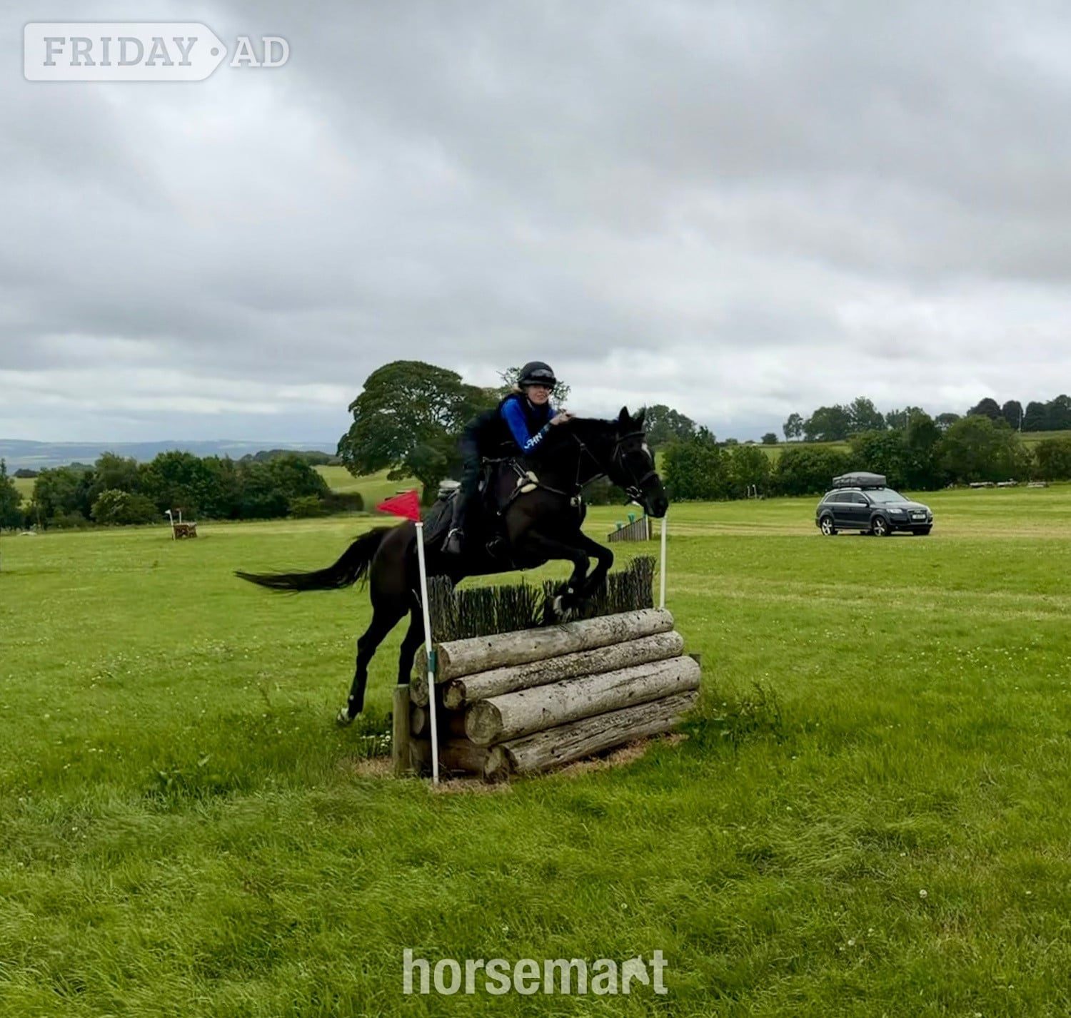 "Luna" Black Mare All Rounder