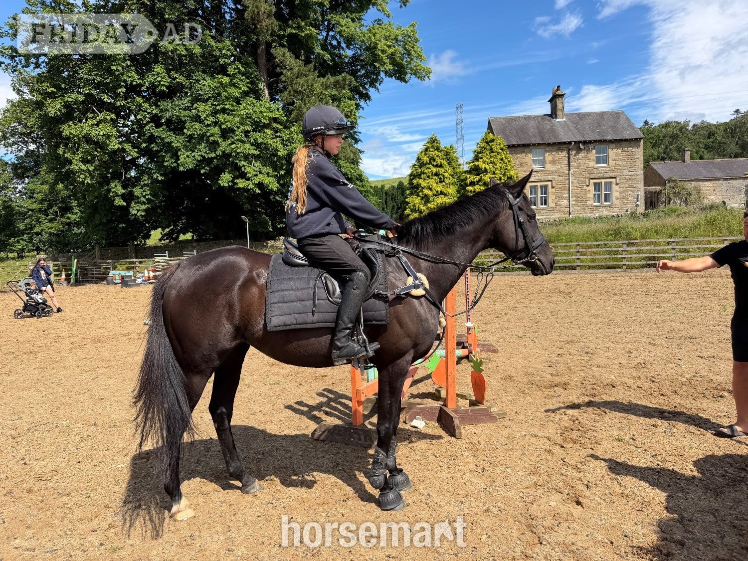 Haltwhistle "Luna" Black Mare All Rounder