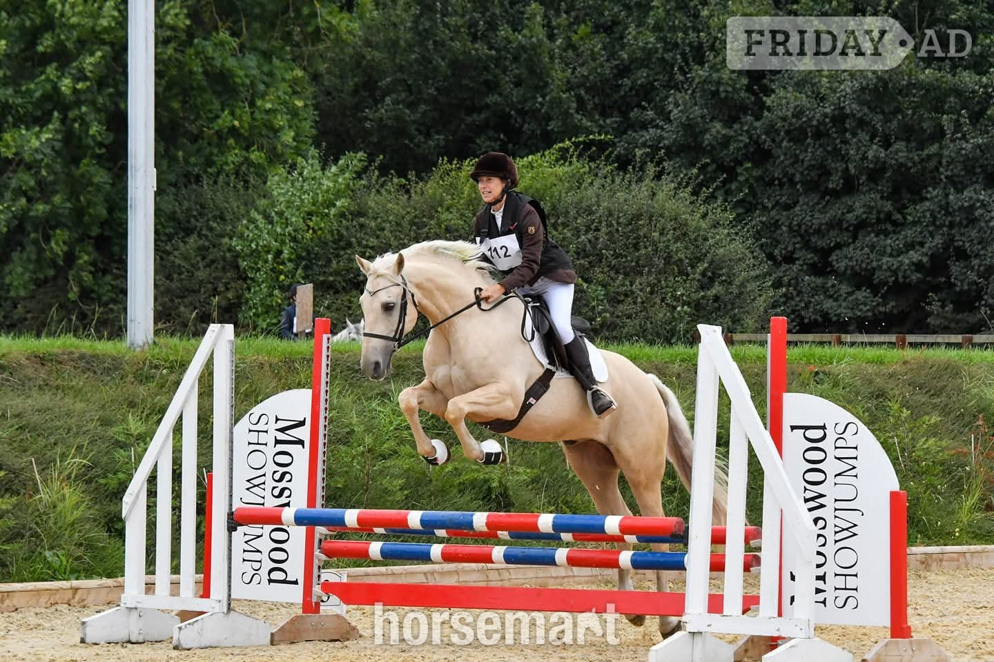 "Estier Phantom (Phantom)" Palomino Gelding All Rounder - Horses in Keighley