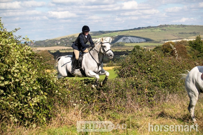 Paddock Wood "“Perkins”" Fleabitten Grey Gelding Hunter