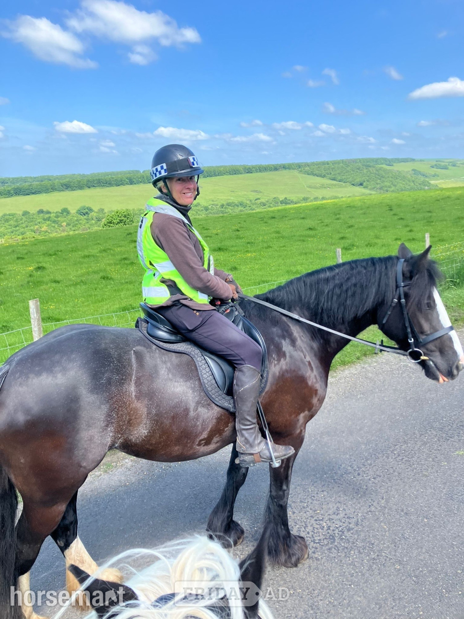 Chelmsford "Noodles" Black Roan Mare All Rounder