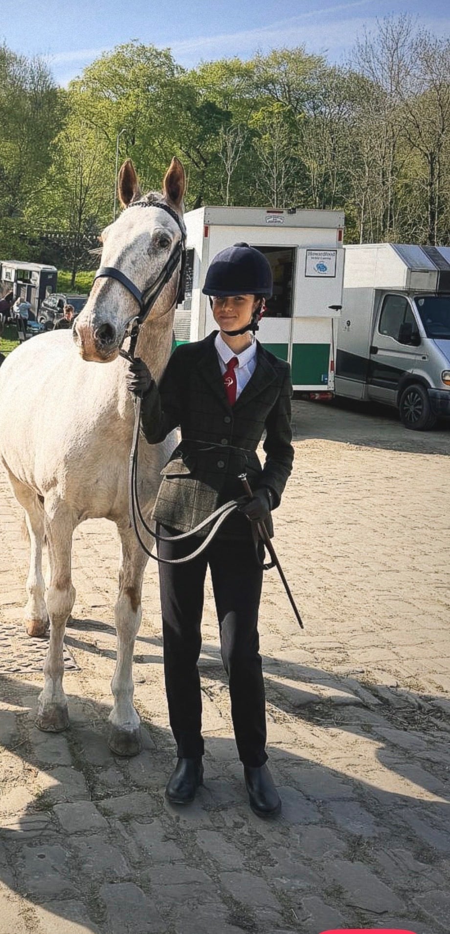 "Reggie " Roan Gelding Project Horse - Horses