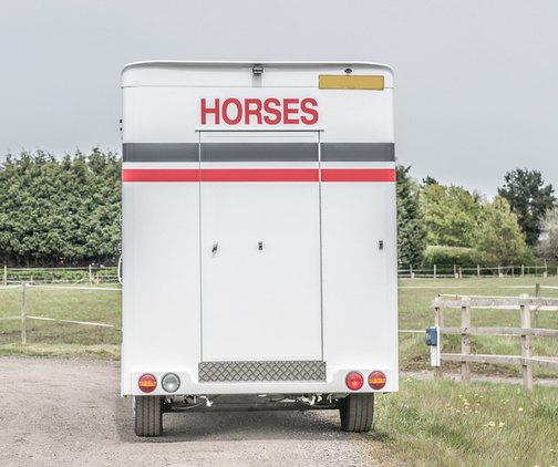 Hunter Sport  Horsebox - Trailers & Horseboxes