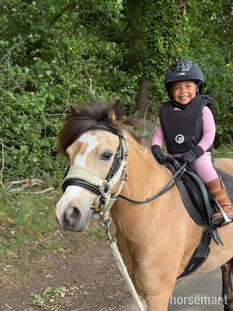 "Teddy"  Gelding Lead Rein/First Ridden Pony