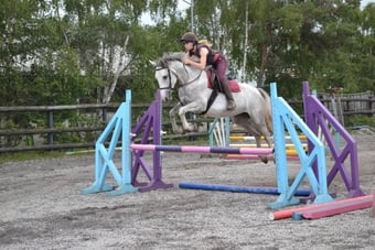 "Clover" Grey Mare All Rounder