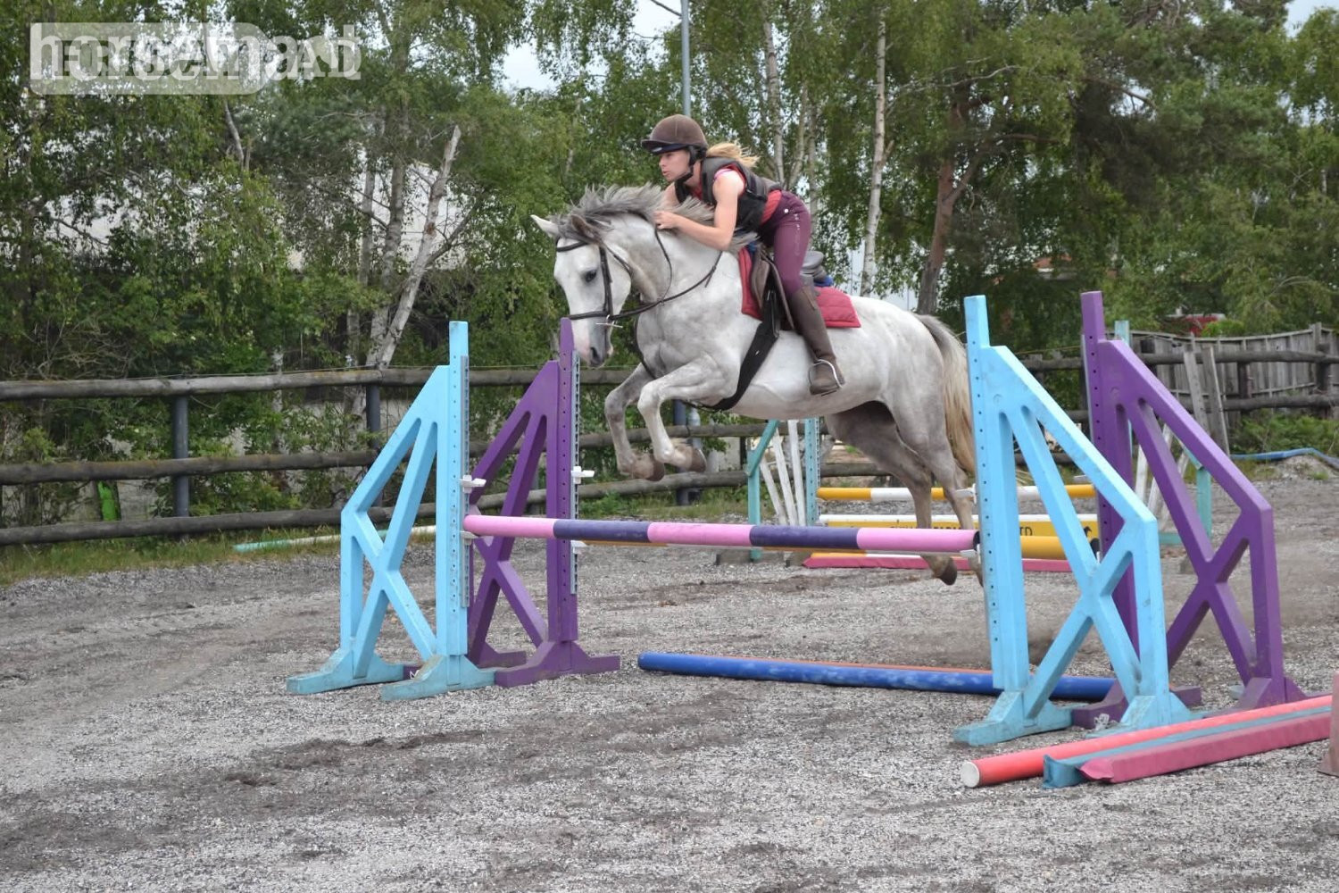"Clover" Grey Mare All Rounder in King's Lynn