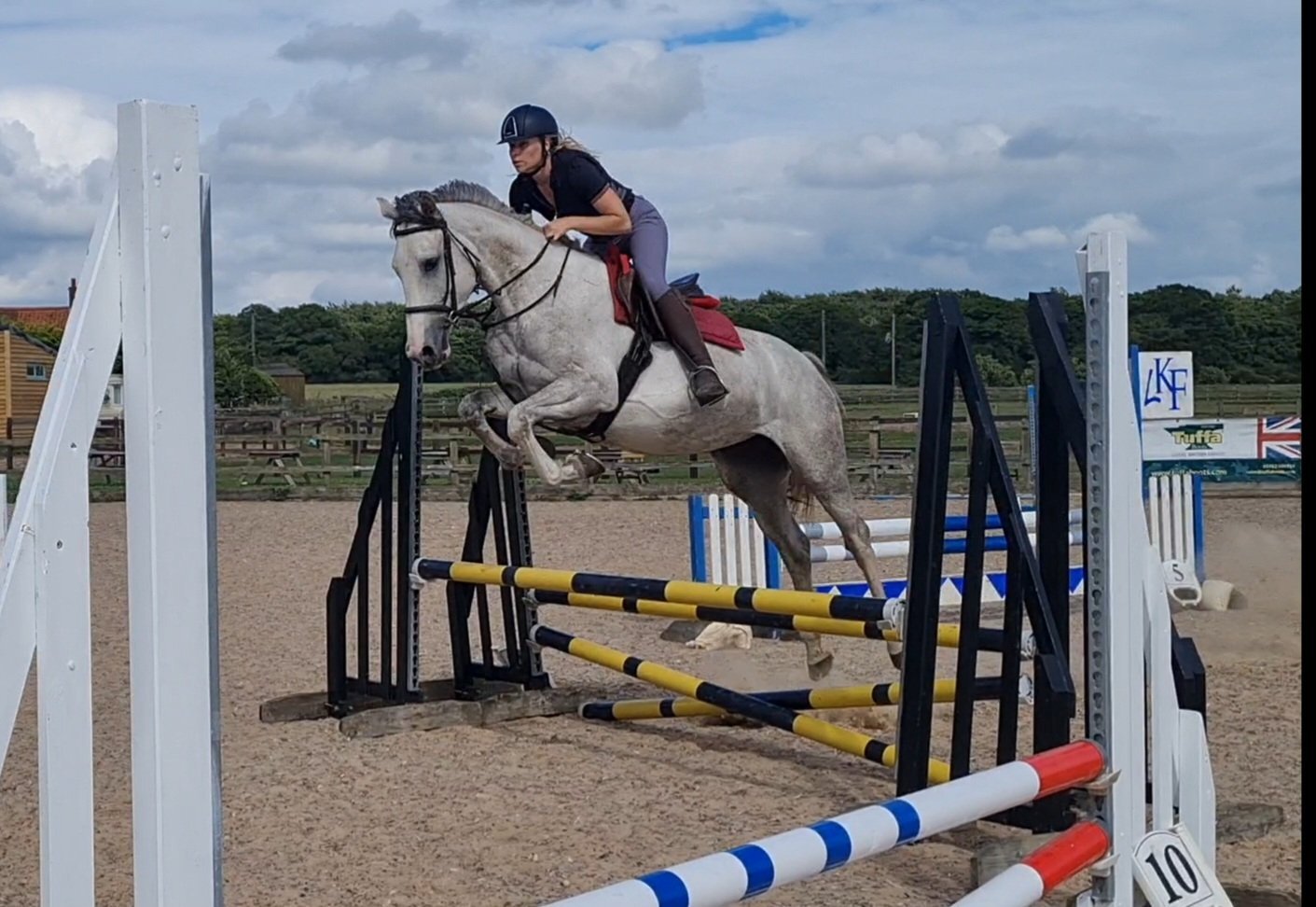 "Clover" Grey Mare All Rounder - Horses in King's Lynn