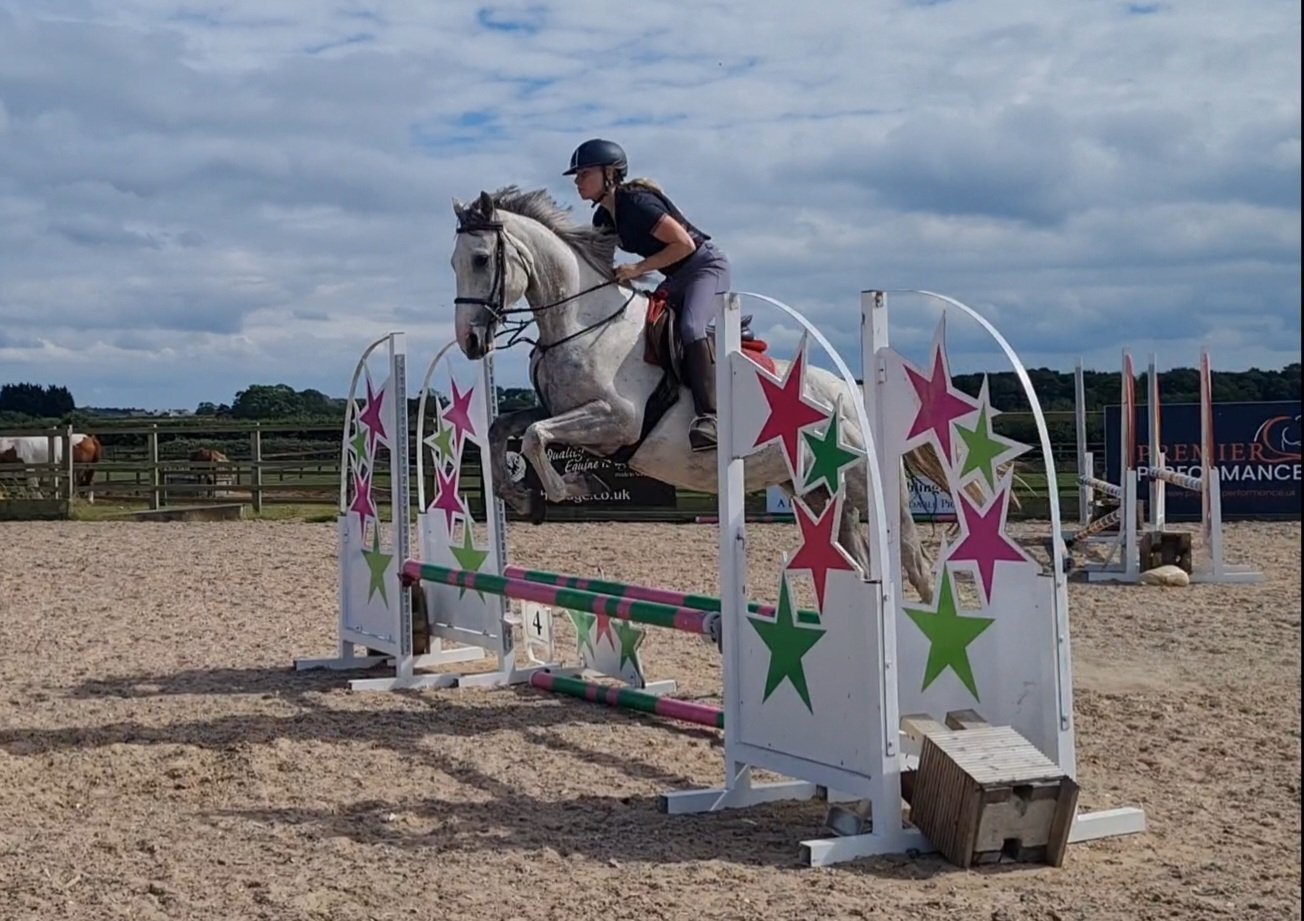 "Clover" Grey Mare All Rounder - Horses