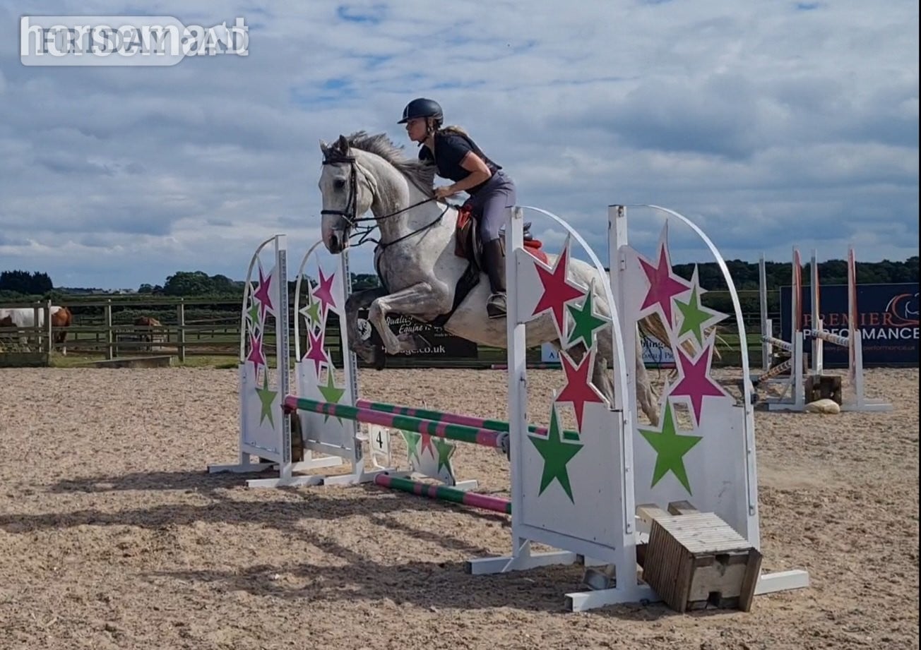 "Clover" Grey Mare All Rounder - Horses