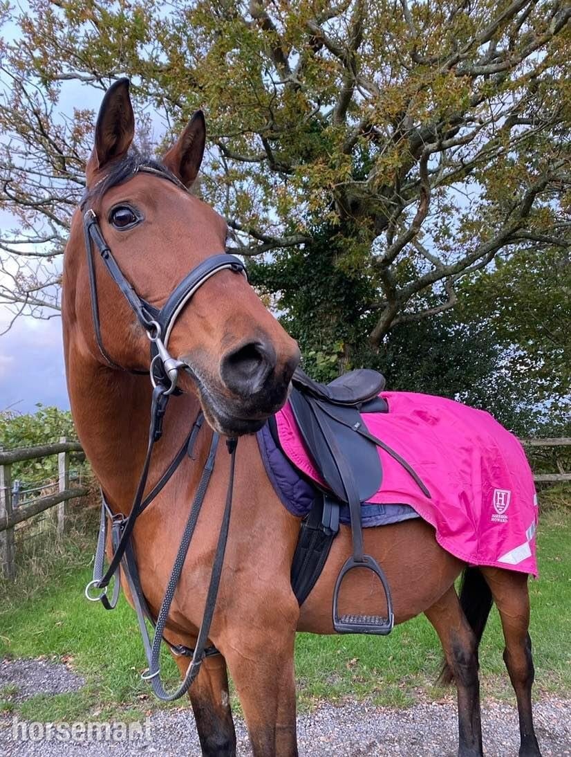 Sharer required for beautiful hacking on the Ashdown Forest 