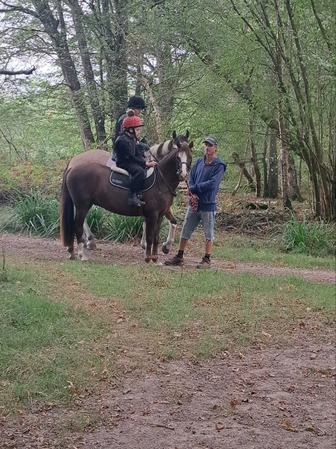 "'Teddy'" Chestnut Gelding Pony Club Pony