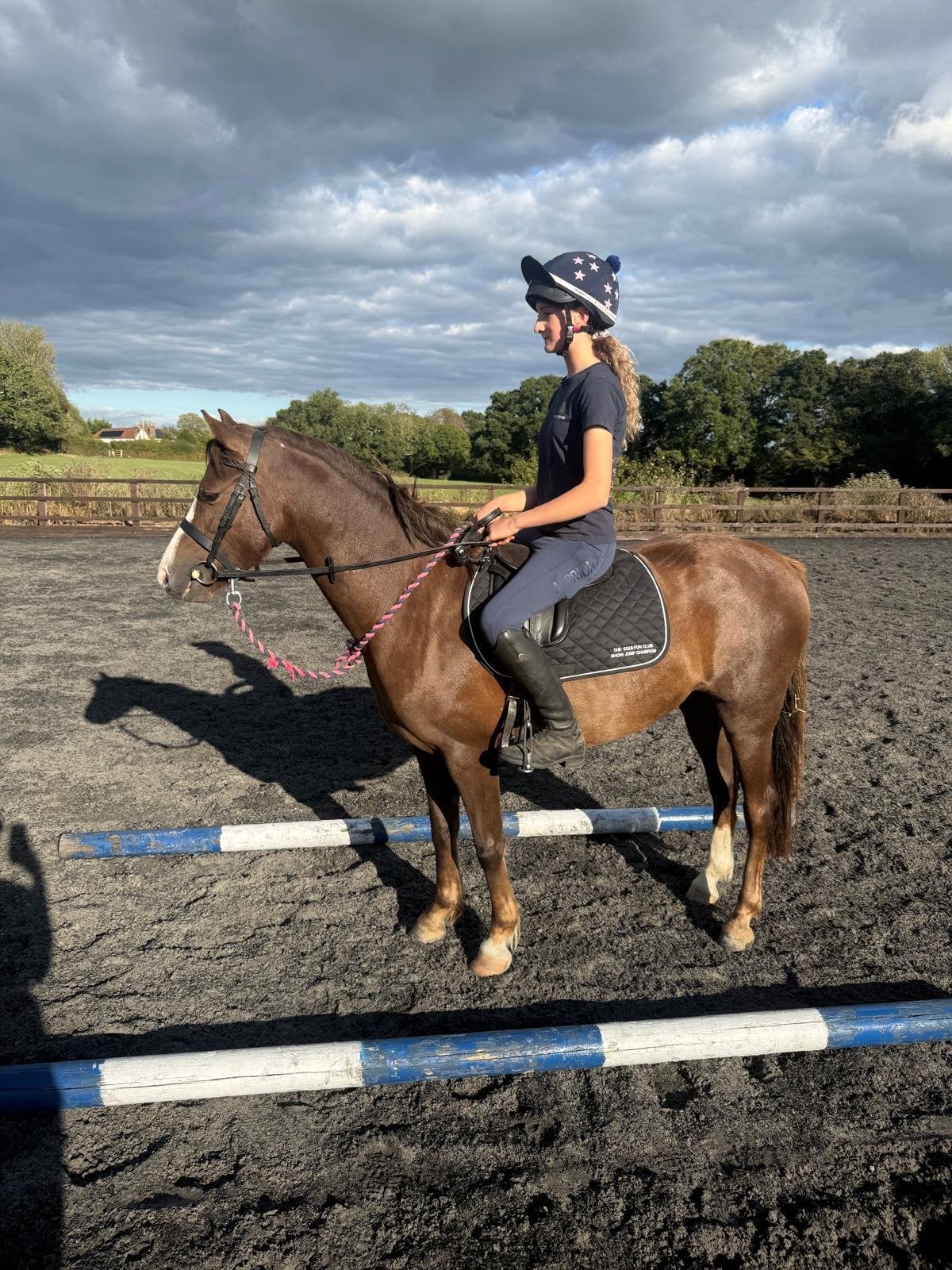 "'Teddy'" Chestnut Gelding Pony Club Pony - Horses in Lewes