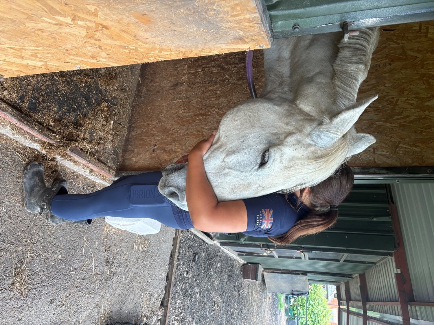 "Dakota" Grey Mare Companion Horse - Horses